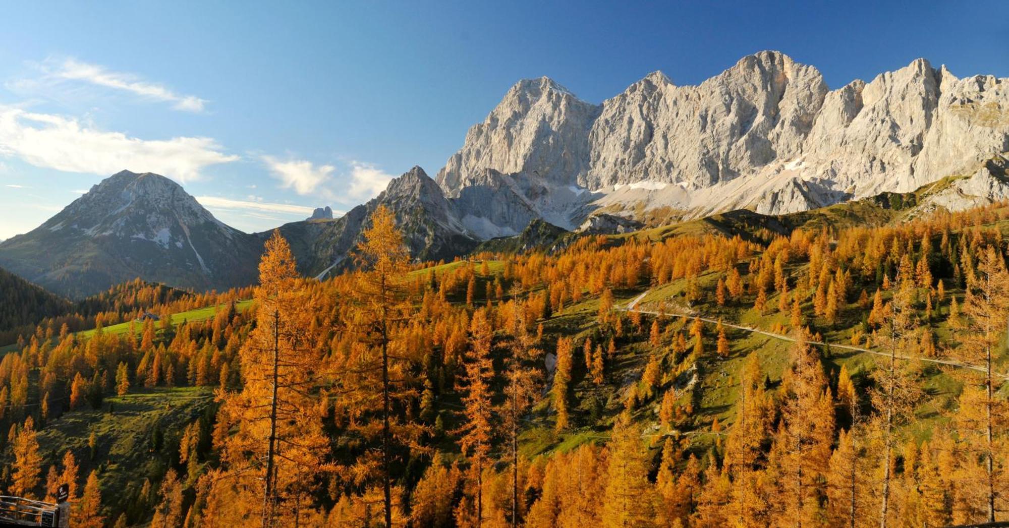 Naturchalet Hoeflehner - Heimgefuehl & Ruhelage An Loipe & Wanderweg Ramsau am Dachstein Dış mekan fotoğraf