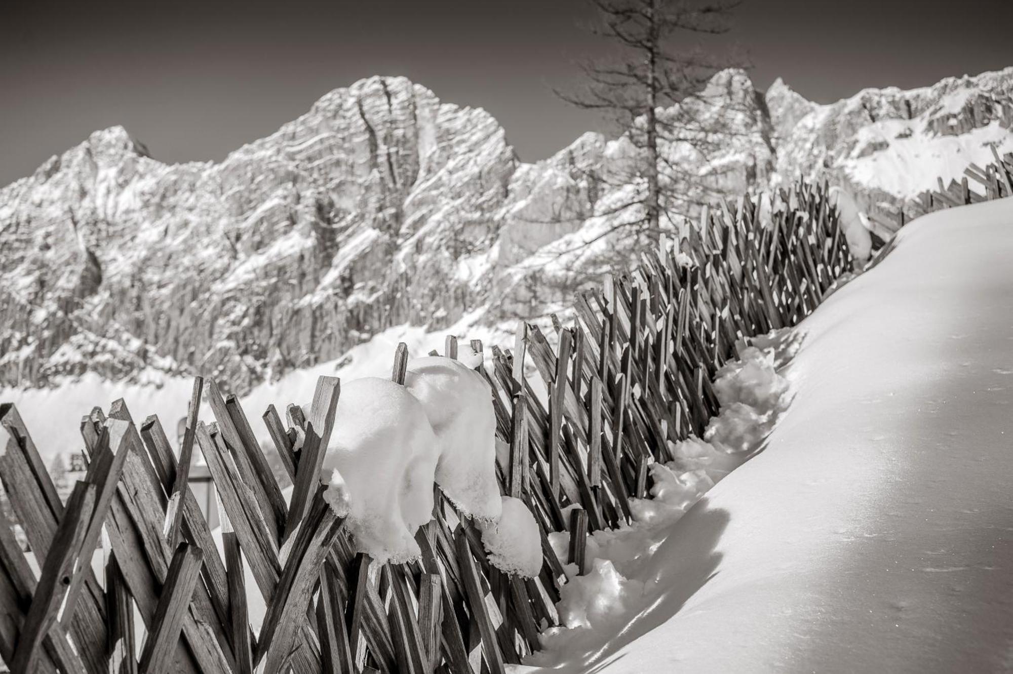 Naturchalet Hoeflehner - Heimgefuehl & Ruhelage An Loipe & Wanderweg Ramsau am Dachstein Dış mekan fotoğraf
